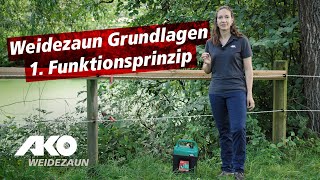 Weidezaun Grundlagen 1 Funktionsprinzip [upl. by Godwin463]