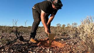 Gold detecting Western Australia 2023  Part 6 [upl. by Sancha173]