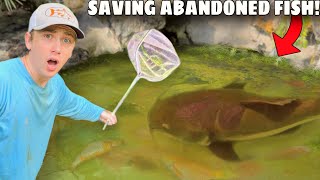 I Saved Abandoned Fish LIVING in Green Slime Pond [upl. by Pierre169]