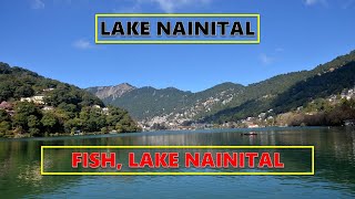 LAKE NAINITAL [upl. by Llemej750]