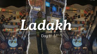 Ladakh Episode 1 Leh City Hotel Tour Leh Market [upl. by Ettenwahs]