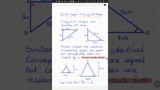 Discover the SECRET to Congruent Shapes in Math [upl. by Ellehsim]