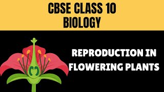 CBSE  Class 10  Biology  Reproduction in Flowering Plants [upl. by Fayina843]