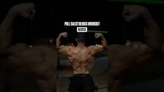 Calisthenics Routine to Build a Strong Back and Gain Pull Strength calisthenicstraining [upl. by Ayela767]