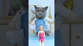 Help🥺 Can Dr Oscar Magically Heal The Broken Doll🩹🎀 catvideo catmemes trending [upl. by Barsky]