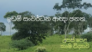 ඉඩම් සංවර්ධන ආඥා පනත  Agricultural Science for Advance Level Examination Sinhala medium [upl. by Sivehc]