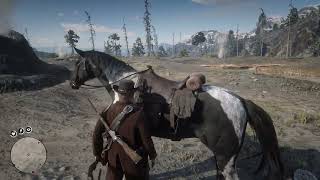 Red Dead Redemption 2 Cazando [upl. by Johny]