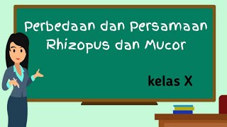 Perbedaan Serta Persamaan Rhyzopus Dan Mucor  Materi Biologi SMA [upl. by Mordecai]