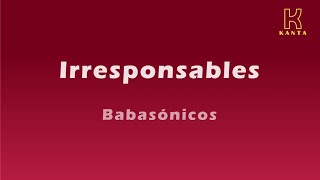 Irresponsables Babasónicos [upl. by Etteval]