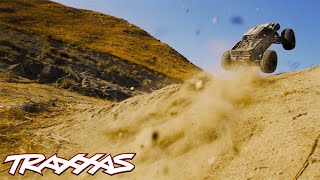 Dirt Domination  Traxxas XMaxx [upl. by Gavrila]