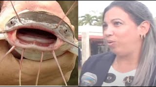 Insólito crían Clarias en la cisterna de un hotel de Isla de la Juventud Cuba [upl. by Iney]