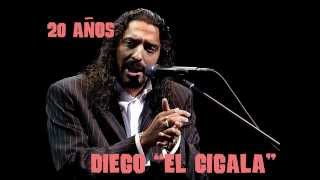 DIEGO EL CIGALA 20 Añoswmv [upl. by Poock]