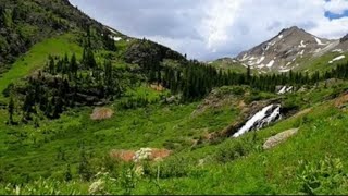 Music of a summer meadowSounds of naturerelaxationmeditationsleepASMR white noise [upl. by Bergin95]