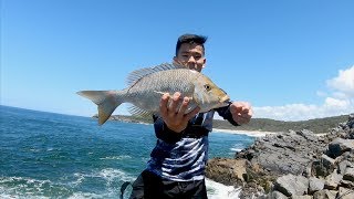 FIRST TIME catching SPANGLED EMPEROR  QUEENSLAND ROCK FISHING EP  3 [upl. by Akamahs]