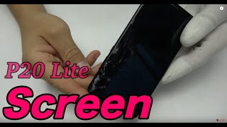 Huawei P20 Lite Screen Replacement [upl. by Trilbi]