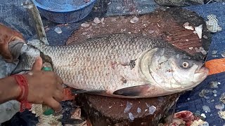 Amazing Cutting Skills  Big Rohu Fish Cutting By Expert Fish Cutter  FishCuttingMarket [upl. by Nichy]