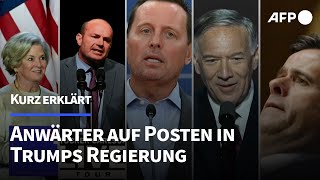 Kurz erklärt Das sind die Anwärter auf Posten in Trumps Regierung  AFP [upl. by Ellora581]