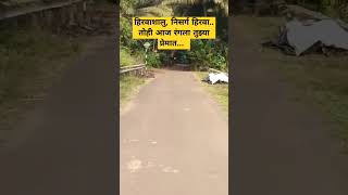 कोकणातील निसर्ग आणिसुंदरसकाळkokanbhajan kokani kokan natureyt youtubeshorts kids lovestatus [upl. by Ahsal]