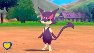 HOW TO GET Purrloin in Pokémon Sword and Shield [upl. by Clarance]