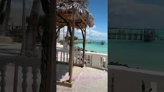 Hotel REEF AND BEACH RESORT ZANZIBAR [upl. by Barhos]