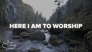 Here I Am To Worship  Maranatha Music Lyric Video [upl. by Nee]