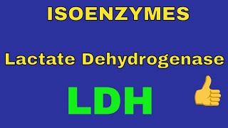 Lactate Dehydrogenase Enzyme  LDH  Isoenzymes  By Dorka Beri [upl. by Cleodal]