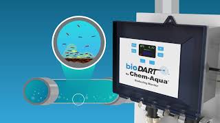 bioDART Biofouling Monitor [upl. by Najram]