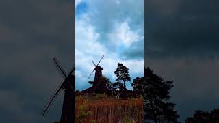 Mühlenmuseum Gifhorn seetheworld shorts youtubeshorts short visitgermany reisen womotour [upl. by Denbrook]