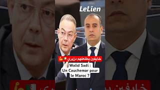 La Montée de Walid Sadi  Un Cauchemar pour le Maroc  Un Analyste Tunisien Appelle à Soutenir Sadi [upl. by Adianes938]