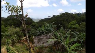 Sharing Gods Word in Honduras [upl. by Derian196]