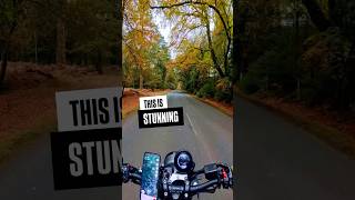 This place is breathtakingly beautiful 🤘🏻motorcycle bikelife xsr900 biker autumn [upl. by Grizelda943]