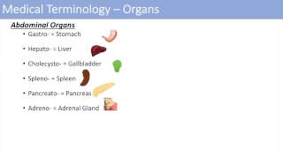 Medical Terminology  The Basics  Lesson 1 [upl. by Oflodor]