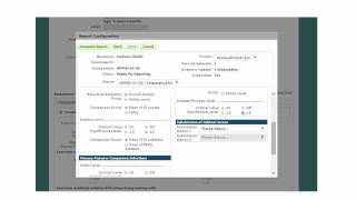 WPPSI IV Interpretive Reports Presentation [upl. by Rawdin481]