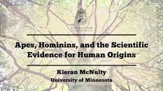 Apes Hominins and the Scientific Evidence for Human Origins  Kieran McNulty [upl. by Buller]