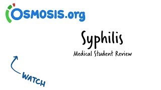 Syphilis  Clinical Presentation [upl. by Sargent]