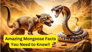 Facts for Bored People Magnificent Mongoose Facts [upl. by Cuda304]