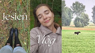 VLOG I Jesień na wsi reorganizacja garderoby oraz zapiekanki z Córeczką vlog jesień reallife [upl. by Sophie]