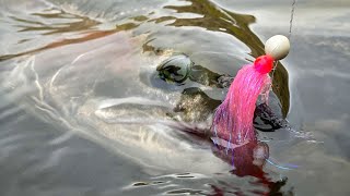 EPIC Steelhead Bobber DOWNS Desert STEELHEAD Fishing [upl. by Rieth]