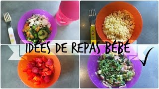 5 idées de repas  BEBE 18 mois [upl. by Rupert]