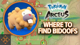 Pokemon Legends Arceus  Bothersome Bidoof Locations Guide [upl. by Eruza]