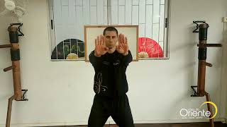 Siu Lin Tao  Primeira forma do Wing Chun Kung Fu  Mestre Tonatto [upl. by Florette]