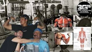 How to Gain Muscle Explained Simply  AUDIO ONLY  Episode 25 [upl. by Osric777]