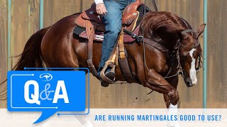 Are Running Martingales Good  QampA With Clinton Anderson [upl. by Didi]