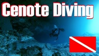 Cenote Diving HD  Riviera Maya  Mexico [upl. by Ahsiekan]