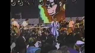 Buju Banton  Live in Nassau  Early 90s Island Life [upl. by Ogata]