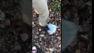 Feet scraping against leaves sound effect [upl. by Soo]