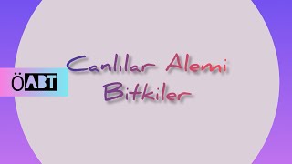 108 Canlılar Alemi  Bitkiler  ÖABT BİYOLOJİ [upl. by Ahsimit]