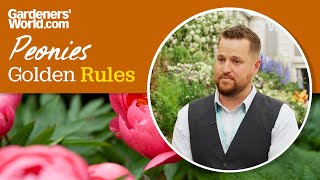 Caring for peonies  Golden Rules [upl. by Nikal]