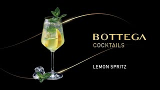 Bottega Cocktails BOTTEGA SPRITZ ita [upl. by Harmaning]