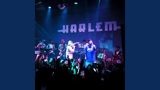 ちばりよ feat CHICO CARLITO Live at 渋谷HARLEM 2024 [upl. by Lotti]